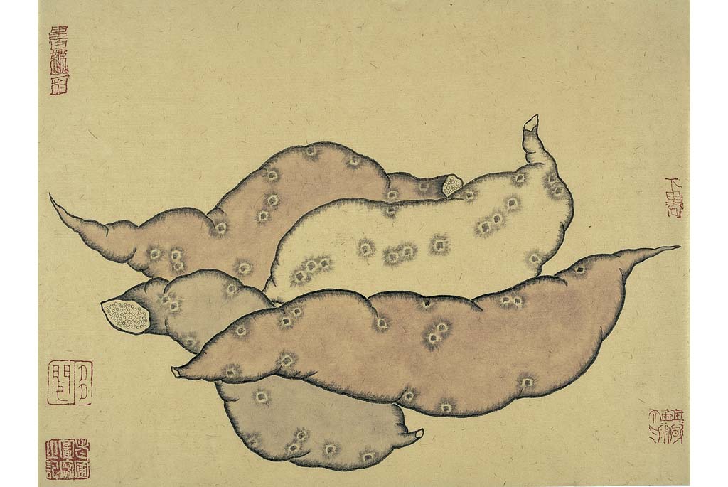 老圃 <wbr>经典田园系列