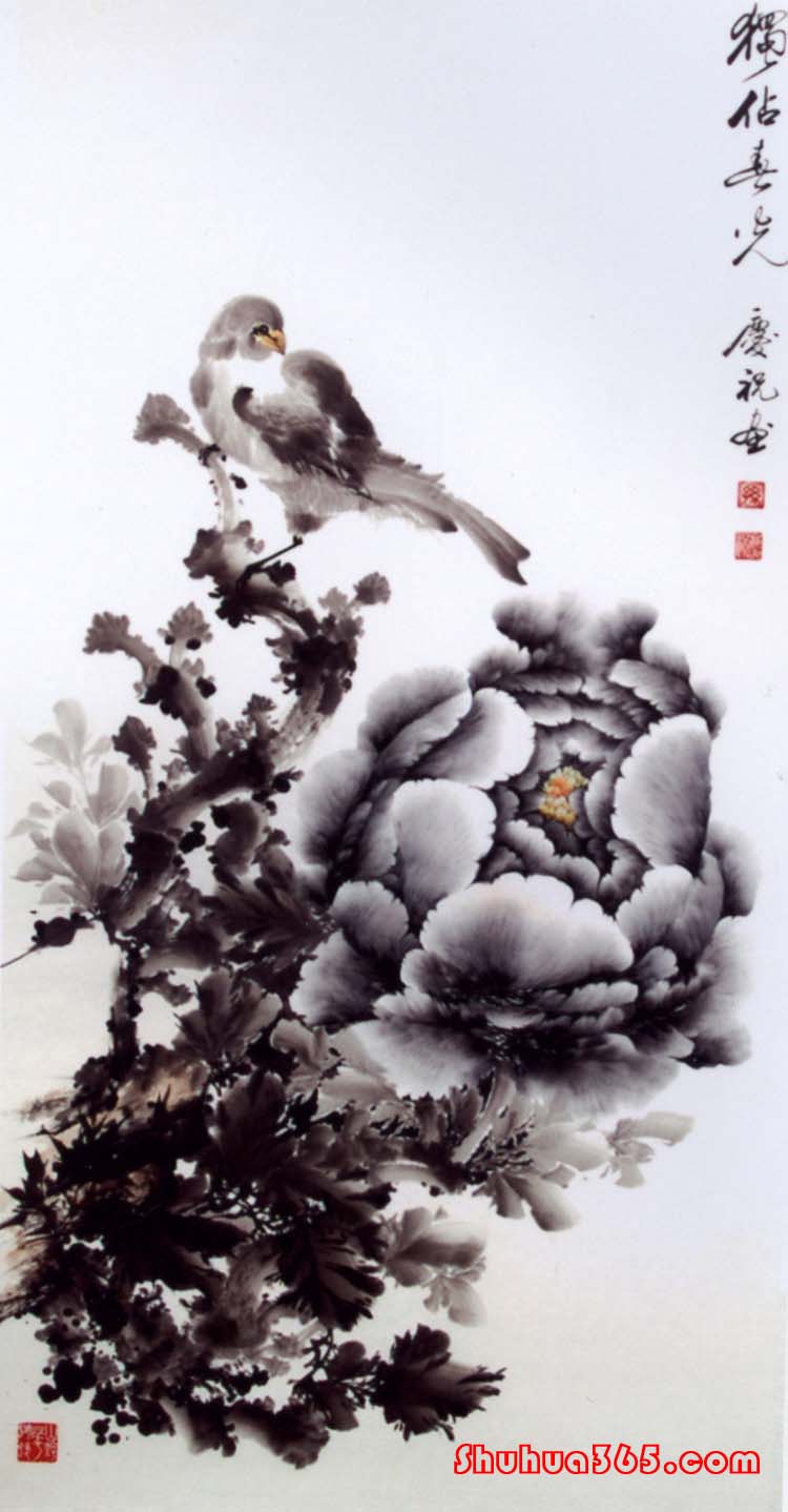 图片浏览